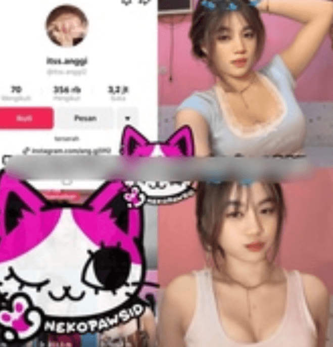 Its Anggi Tiktok Ewe ama Ayang!