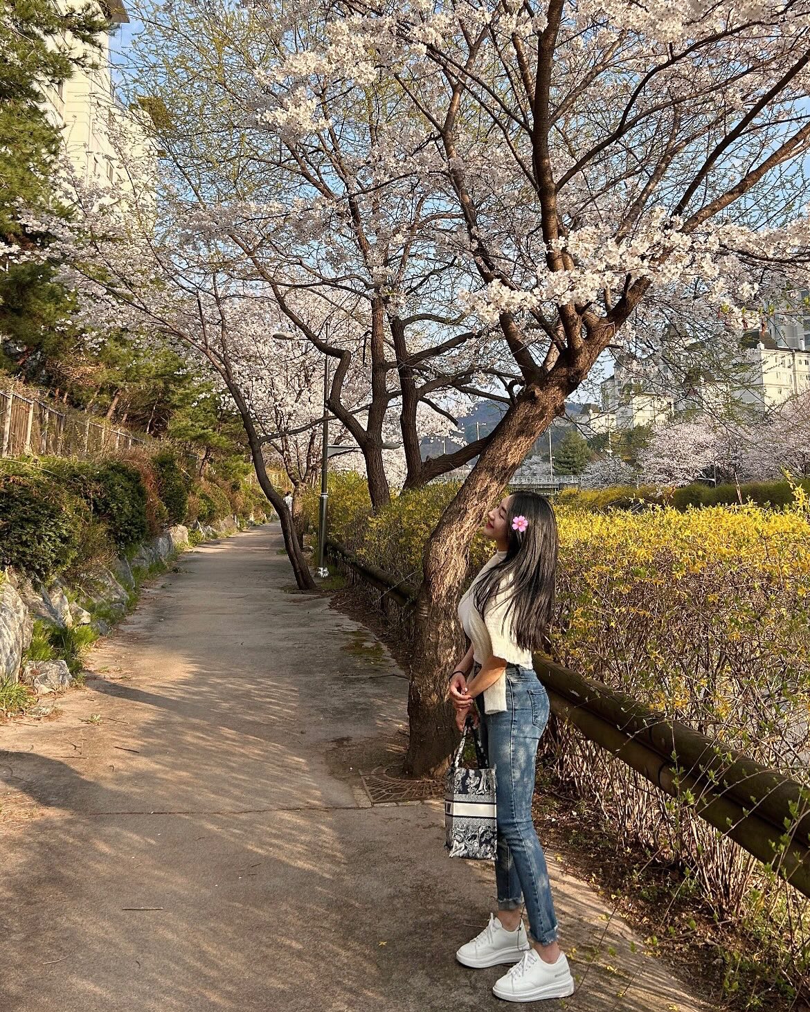 392 website by kawai.vip